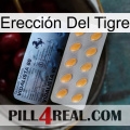 Erección Del Tigre 44